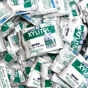 【対象商品PT10倍開催中】 オーラルケア キシリトールガム アップルミント 試供品 100粒入り 歯科専用 【送料無料】【最安値挑戦中】