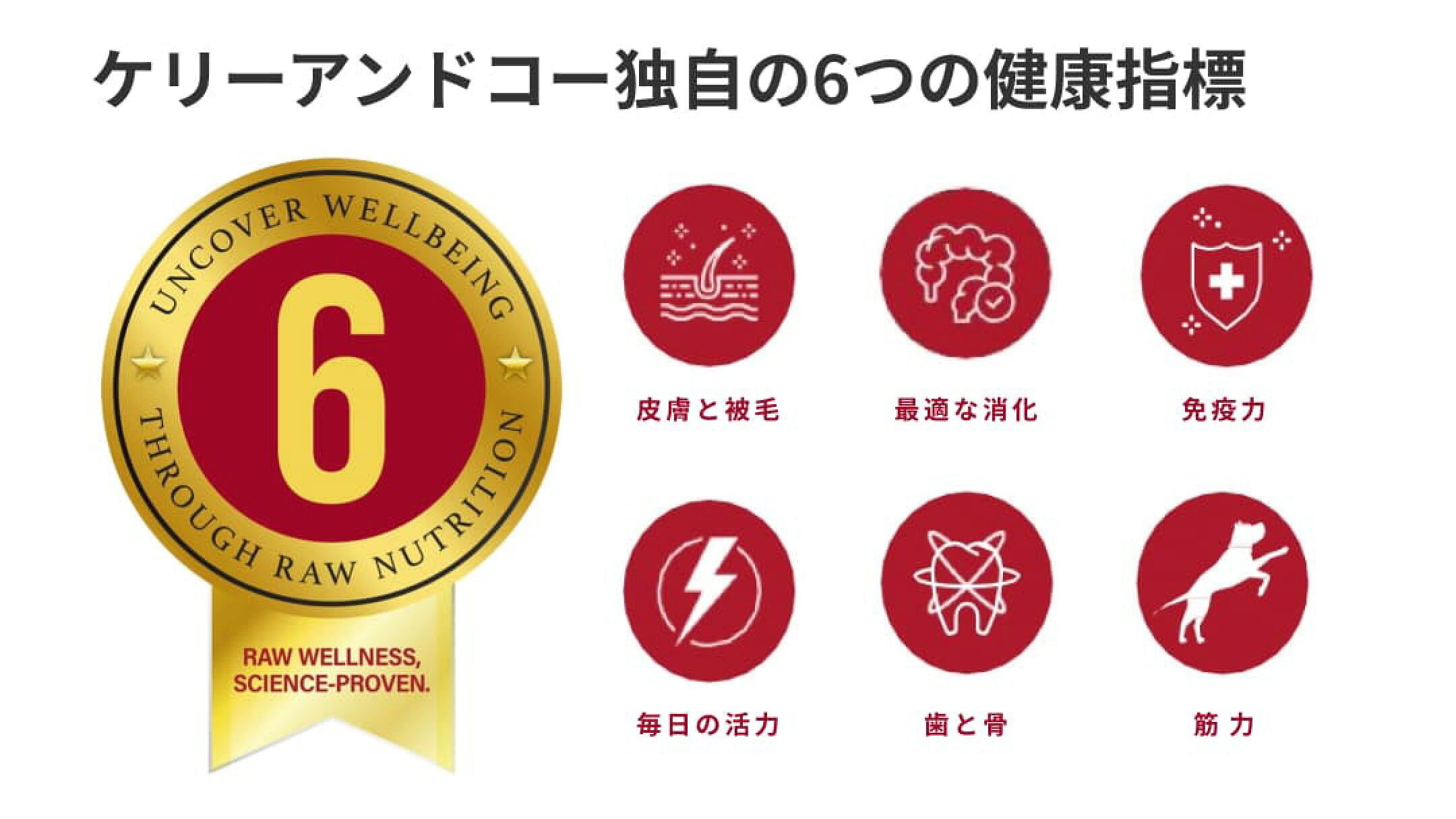 ケリーアンドコー独自の6つの健康指標