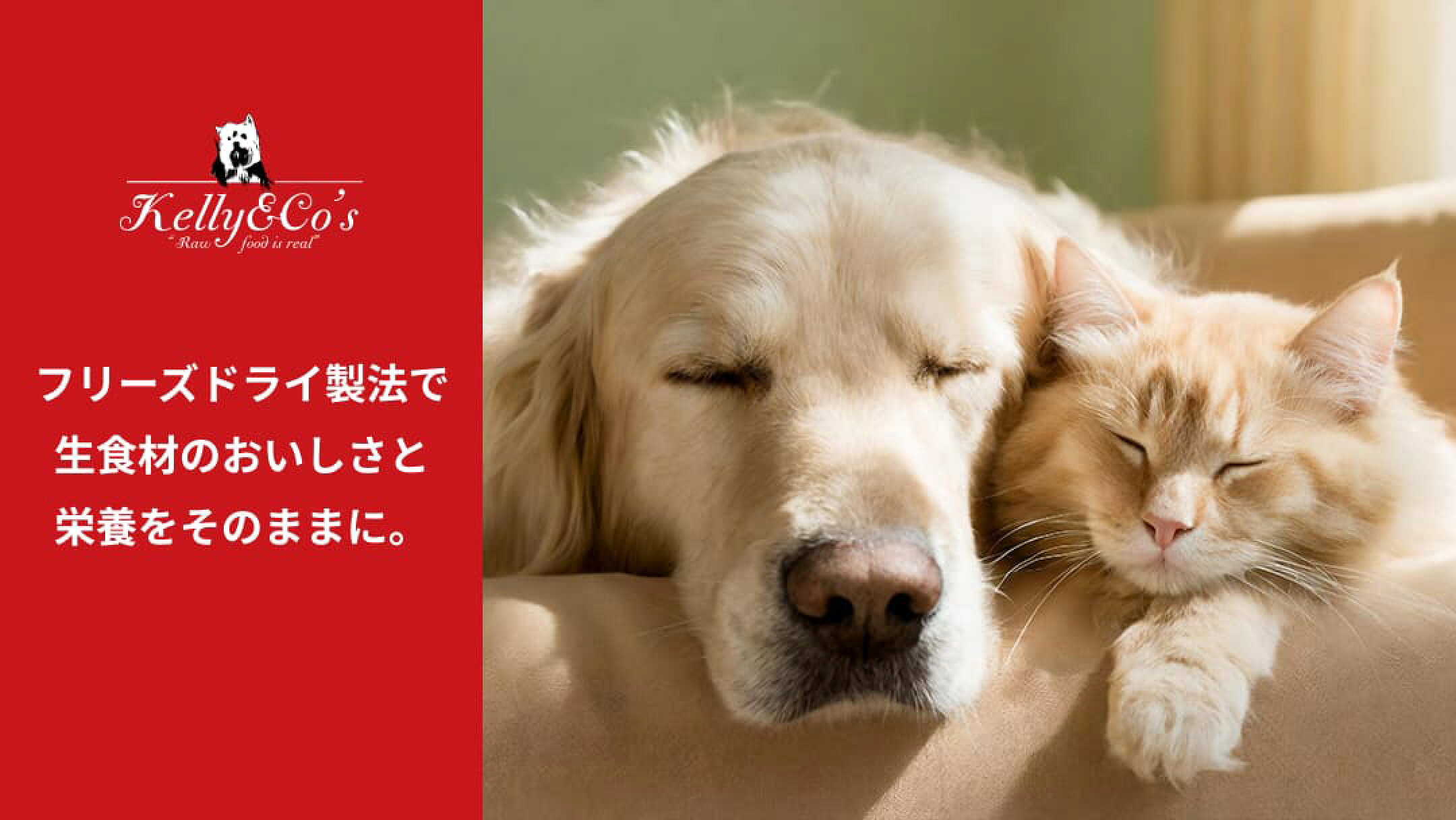 フリーズドライ製法で 生食材のおいしさと 栄養をそのままに。