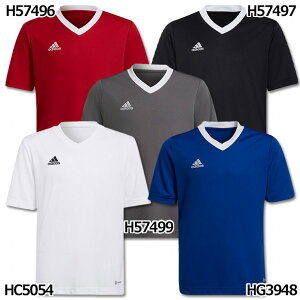 y11/20-11/26 |Cg10{zWjA ENTRADA22 W[W[@yadidas|AfB_XzTbJ[tbgTWjAEFA[mbe20