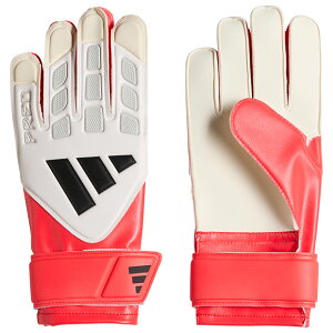 �W���j�A �v���f�^�[ GK�O���[�u �g���[�j���O�@���V�b�h���b�h×�[�����^���b�N�@�yadidas|�A�f�B�_�X�z�T�b�J�[�S�[���L�[�p�[�O���[�umcc43-ka7792
