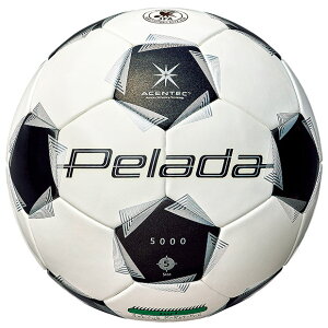 �y���[�_5000 �ŗp�@�ymolten|�����e���z�T�b�J�[�{�[��5����f5k5000