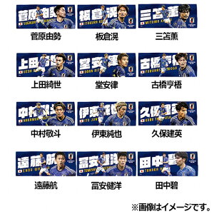 y|Cg10{zTbJ[{\ v[[YtFCX^I 2023@TbJ[{\ANZT[jfa-23fw-ftowel