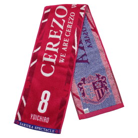 楽天市場 タオルマフラー Jリーグの通販