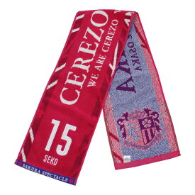 楽天市場 タオルマフラー Jリーグの通販