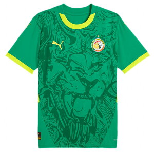 ZlK\ 2025 AEFC vJjtH[@yPUMA|v[}ziVi`[vJEFA[777166-03