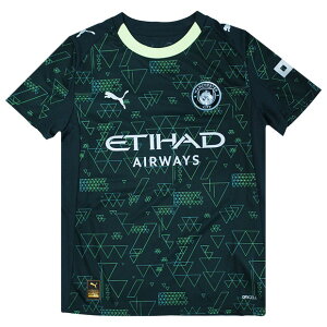 y11/1 |Cg10{zWjA }`FX^[VeB 25-26 4th vJjtH[@yPUMA|v[}zNu`[vJEFA[782694-04