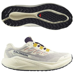 �y4/17 9��59���܂Ń|�C���g5�{�z�G�A���u���C�Y 3 �O���x�� AERO BLAZE 3 GRVL GORE-TEX�@�o�j���A�C�X×�A�X�g�����I�[���@�ySALOMON|�T�������z�����j���O�V���[�Yl47953200