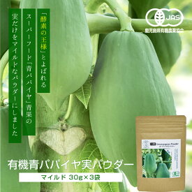 有機青パパイヤ実パウダー《マイルド》 30g×3袋 / 自然界のメディカルフード 酵素 ドリンク ファスティング 青パパイヤ ノンカフェイン 無添加 腸活 酵素 メディカルドリンク 有機栽培 KEMPU LIFE［健富ライフ］