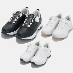 LEFC GAX|[c StV[Y XpCNV[Y \tgXpCN C24996230 2E _C 2024Ntăf C fB[X EBY 