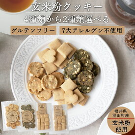 楽天市場 グルテンフリー クッキーの通販