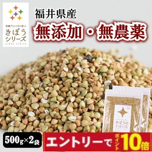 yGg[Ń|Cg10{zڂ ΂̎ 1kg(500g×2) Y _ ΂̂  ۔ kL 䌧Y Y WX^gveC
