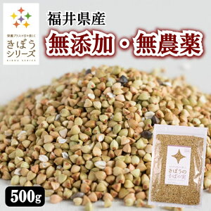 ڂ ΂̎ 500g Y _ ΂̂  ۔ kL 䌧Y Y WX^gveC