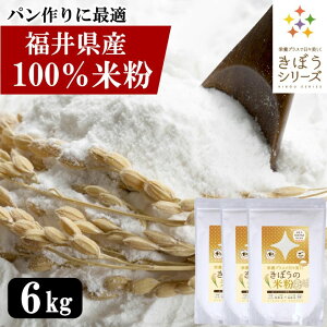 yGg[P10{zY ĕ 6kgi2kg×3܁j _͔|Ďgp p  pX^ NbL[ ǂ 䌧Y Zƒ̃uh~bNX zʒႢ  Y ĕp Oe