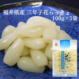 福井県三里浜産 三年子 花らっきょ 100g×5個 セット 国産 らっきょう 漬物 シャキシャキ 食感 ご飯のお供