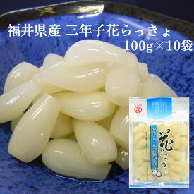 福井県三里浜産 三年子 花らっきょ 100g×10個 セット 国産 らっきょう 漬物 シャキシャキ 食感 ご飯のお供
