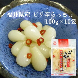 福井県三里浜産 三年子 ピリ辛らっきょ 100g×10個 セット 国産 らっきょう 漬物 シャキシャキ 食感 ご飯のお供