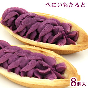 ׂɂ 8@/i|[ g^g ꂨyY