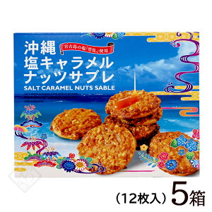 ꉖLibcTu 12@/ꂨyY َq ቖgp