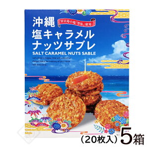 ꉖLibcTu 20@/ꂨyY َq ቖgp