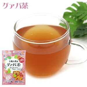 O@o 2g×5@/V[T[  eB[obO