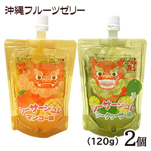 V[T[W 120g×2iV[N[T[A}S[j@/t[c[[ ꂨyY yMBz