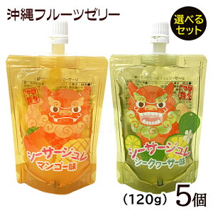 V[T[W Iׂ5ZbgiV[N[T[E}S[j@/t[c[[ ꂨyY yMBz