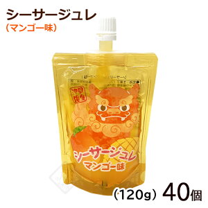 V[T[W@}S[ 120g@/t[c[[ ꂨyY