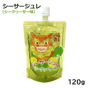 V[T[W@V[N[T[ 120g@/t[c[[ ꂨyY