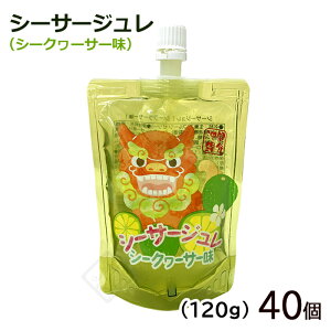 V[T[W@V[N[T[ 120g@/t[c[[ ꂨyY