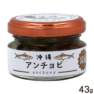 ���C�Y ����A���`���r 43g�@/�~�Y���I�C���Ђ�