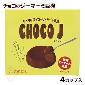 CHOCO J 傱 `R̂[܁[ݓ 4Jbv@/W[}[~  yY