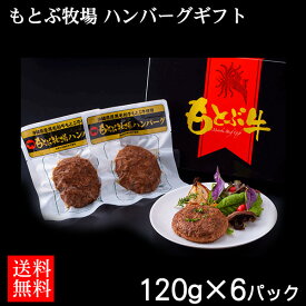 もとぶ牧場 ハンバーグギフト 120g×6パック【送料無料】【直送】