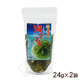海ぶどう 塩水漬け 茎付き 24g×2袋 （平良商店） 【MB】