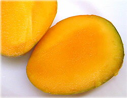 ������̵���������겭�컺�ޥ󥴡���2kg�ʵ��ʳ����åץ�ޥ󥴡���