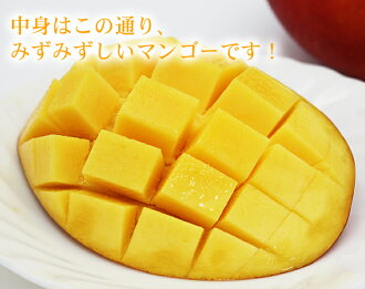 ��ȤϤߤ��ߤ������ޥ󥴡��Ǥ���