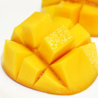 ������̵���ۡ�������۲��컺�ޥ󥴡�����2���ˢ����ʳ�