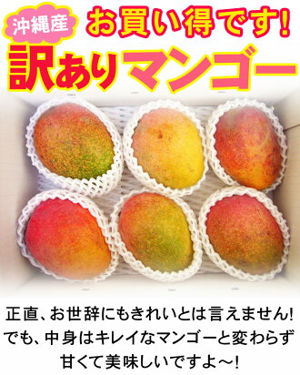 ���컺��������ޥ󥴡�2kg