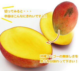 ��ȤϤȤäƤ⥭�쥤�ʥޥ󥴡�