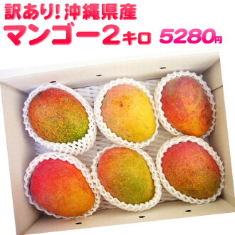 ������̵���۲��컺���ʳ��ޥ󥴡�