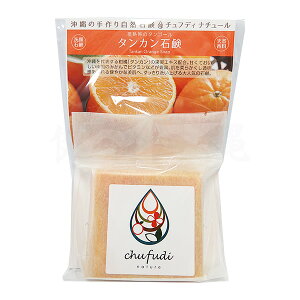 ^JΌ 100g@/`tfBi`[  ꂨyY