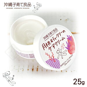 eB[c[̃PAN[ 25g@/qėǕi