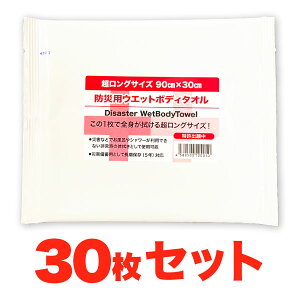 y30Zbgz hЗpEFbg^I OTCY 90x30cm hЃObY ۑ EGbg^I EFbgeBbV p ~i ȈՃgC ЊQ qpi 펝o Zb
