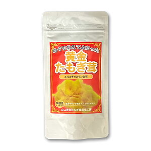 y{z  160mg 360  Y  Tvg NHi ^M^P { GS`Il e Ɖu LV[X x[^OK