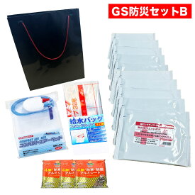 【GS非常用持出防災セットB 】内容：コスクラムフォーバッグ、コンパクトエアーベッド、給水バッグ、防災用ウェットボディタオル、防寒・防風アルミシート