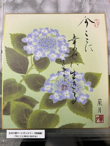 yɍKɐz qt A[gM[ F  Yoۏ YoۏR CMOw@\ ̊wZ 