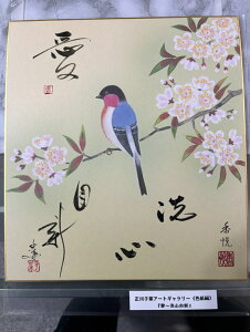 y`SVz qt A[gM[ F  Yoۏ YoۏR CMOw@\ ̊wZ 