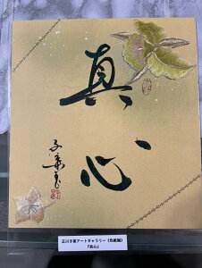 y^Sz qt A[gM[ F  Yoۏ YoۏR CMOw@\ ̊wZ 