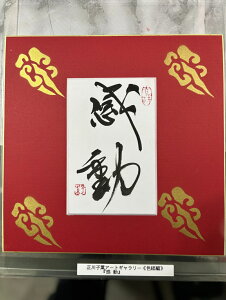 yz qt A[gM[ F  Yoۏ YoۏR CMOw@\ ̊wZ 