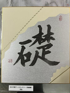 ybz qt A[gM[ F  Yoۏ YoۏR CMOw@\ ̊wZ 